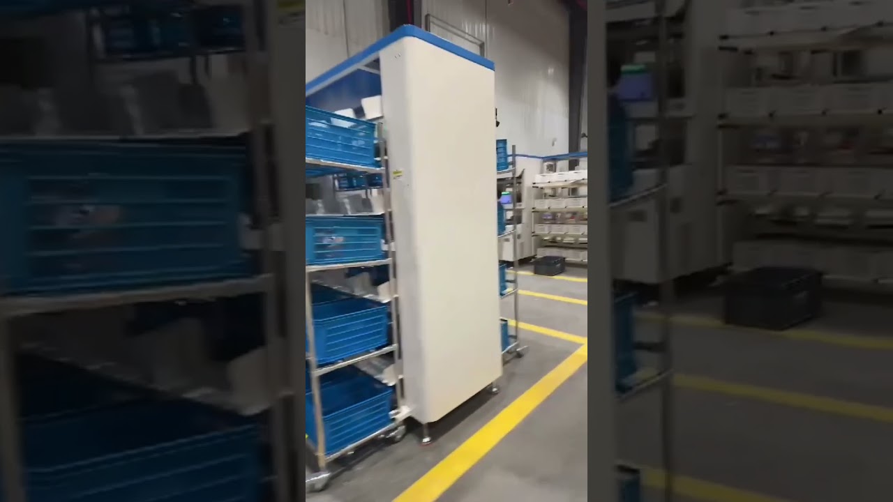 Automated Put Wall Sorting Tray Seeding Order Fulfillment Consolidation Ecommerce System