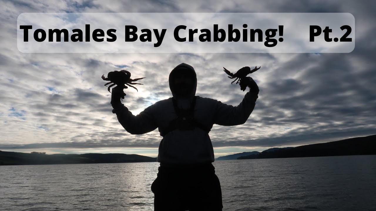 Crabbing In Tomales Bay (SUCCESS!)