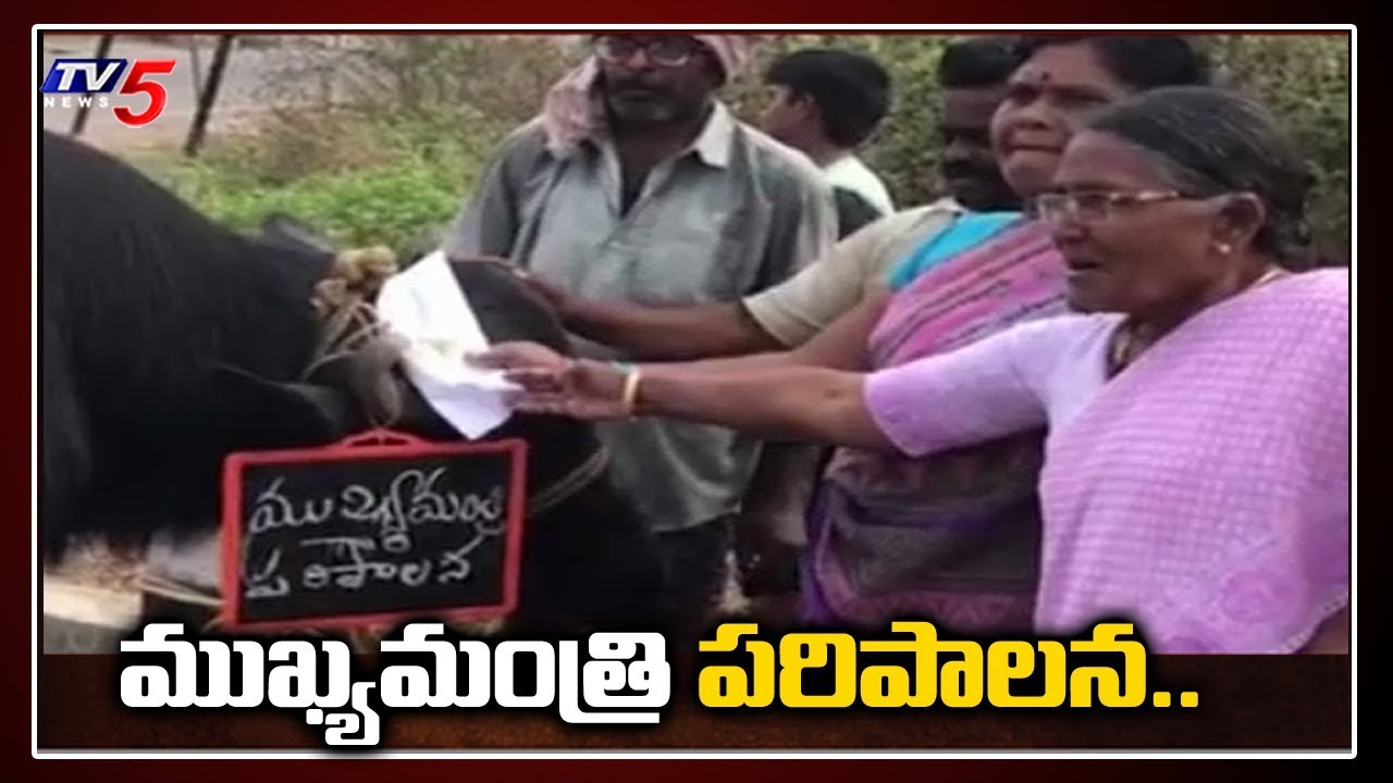 Amaravati Farmers Reaction on AP 3 Capitals | YS Jagan | TV5 News