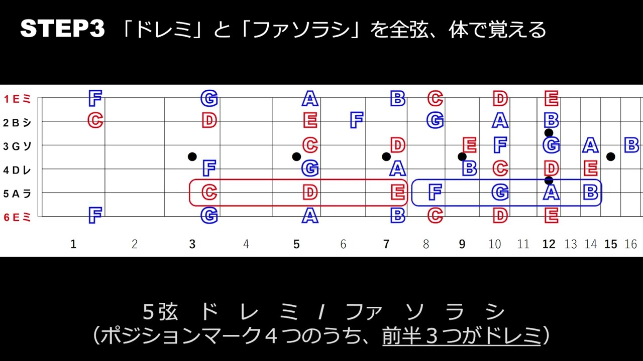 [ギター]指板/音の位置をイメージで覚える STEP3 全音・半音/ 記憶が苦手な超初心者向け  【ギター歴 351日】