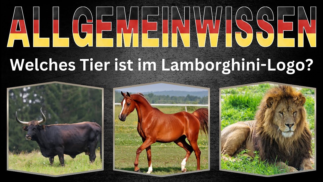 Schaffst du dieses Quiz? 🏆🧠 | Allgemeinwissen – 40+1 Fragen