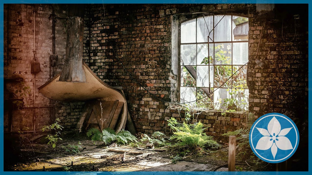 [Guided Meditation] Wind in the Warehouse - Chozen Bays, Roshi