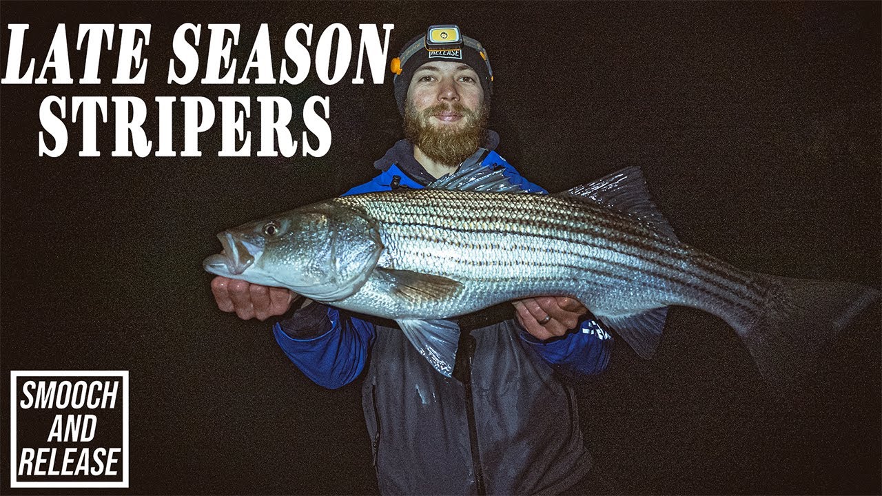 SEARCHING for LATE SEASON Surf Fishing Striped Bass on Long Island , New York - Smooch and Release