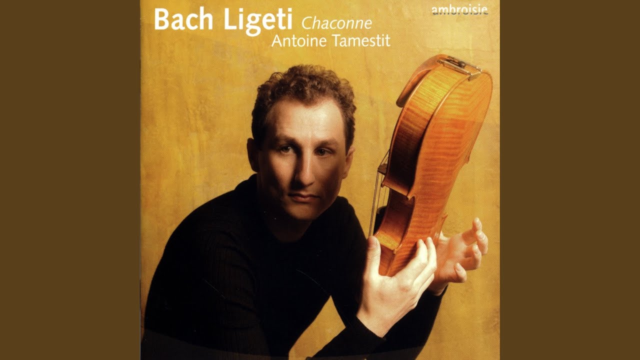 Sonate Pour Alto: I. Hora Lunga