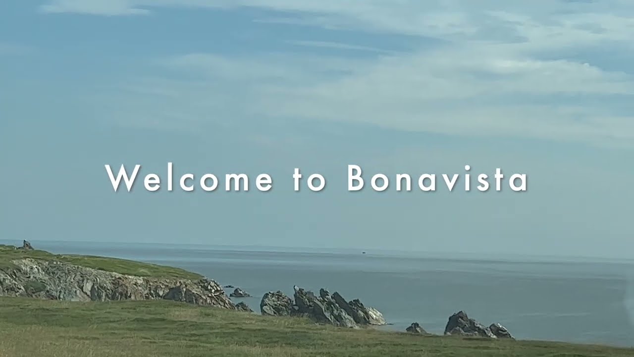 Bonavista Peninsula - Newfoundland 🇨🇦 #newfoundland