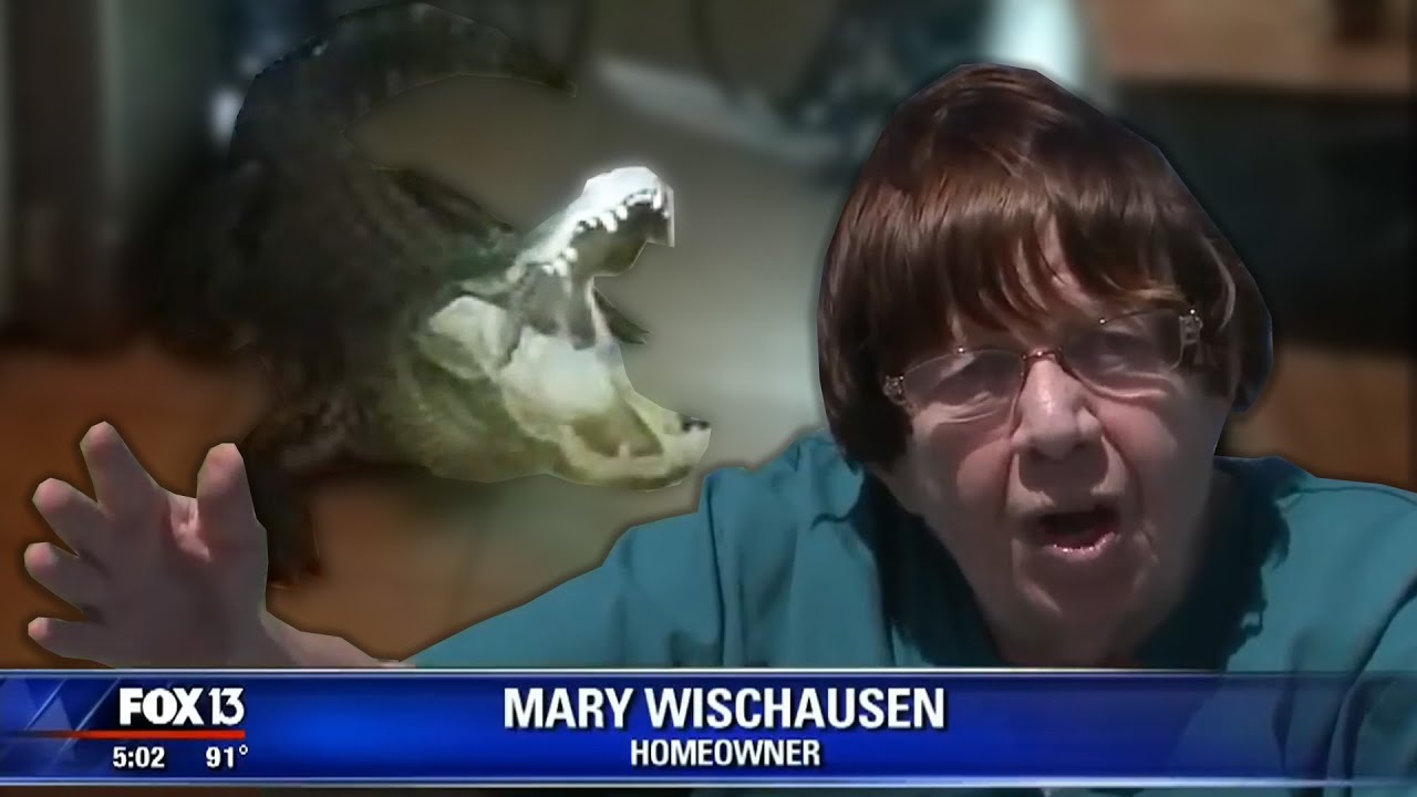 ALLIGATOR BREAKS INTO WOMANS HOUSE...