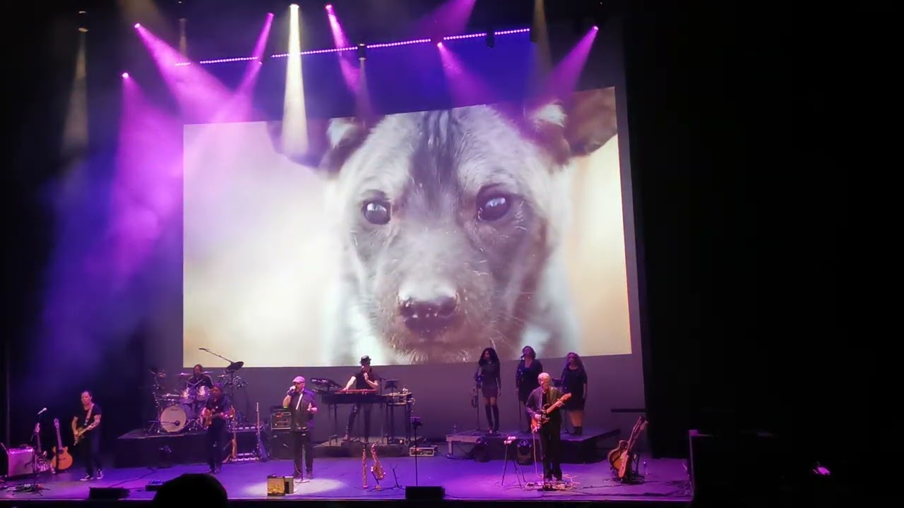 Absolutely Floyd CCXL Theater Vlissingen 21 mei 2022