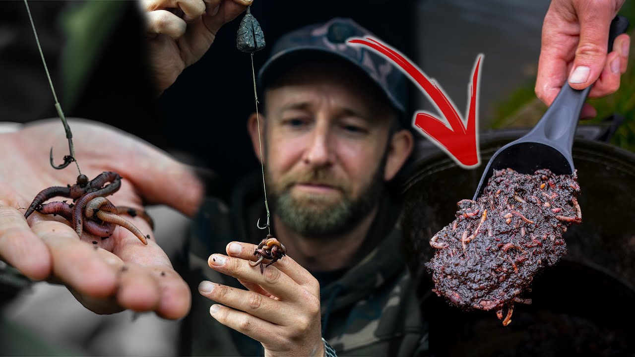 CARP Fishing with WORMS | Mark Pitchers | WIN PRIZES