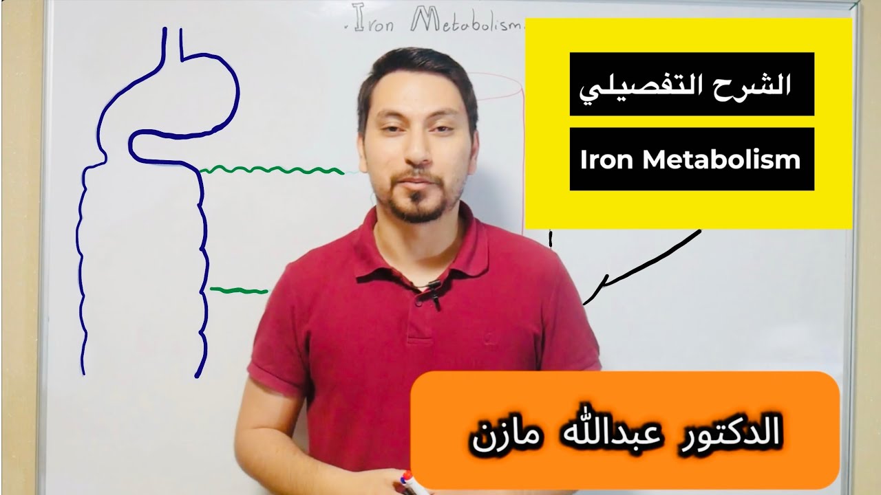 القصة الكاملة للحديد - الامتصاص - النقل - الخزن - الوضائف Iron Metabolism
