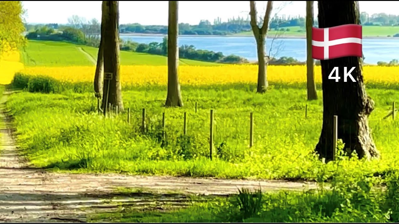 Drive through countryside, Denmark, 🇩🇰springtime جولة في الربيع للريف الدنماركي بألوانه الساحرة☘️