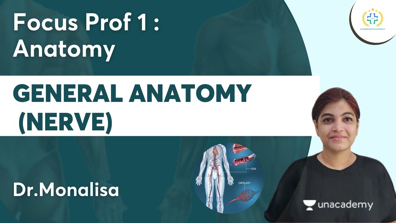General Anatomy (Nerve) | Focus Prof 1 : Anatomy | Unacademy Future Doctors l Dr.Monalisa