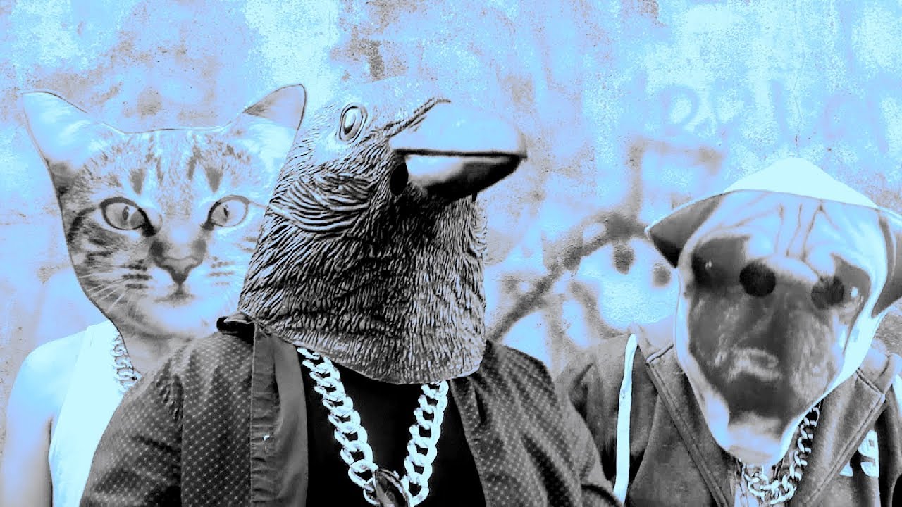 Crazy Crow (Official Video) by David King