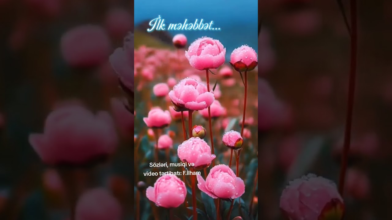 #lirikmahnılar #yenimahnilar #trendmahnilar #fypyoutube 
