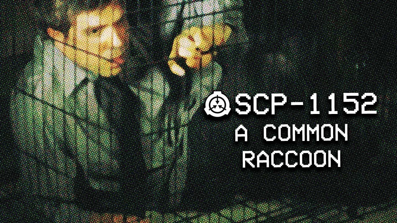 SCP-1152 - A Common Raccoon : Object Class - Safe : Cognitohazard SCP