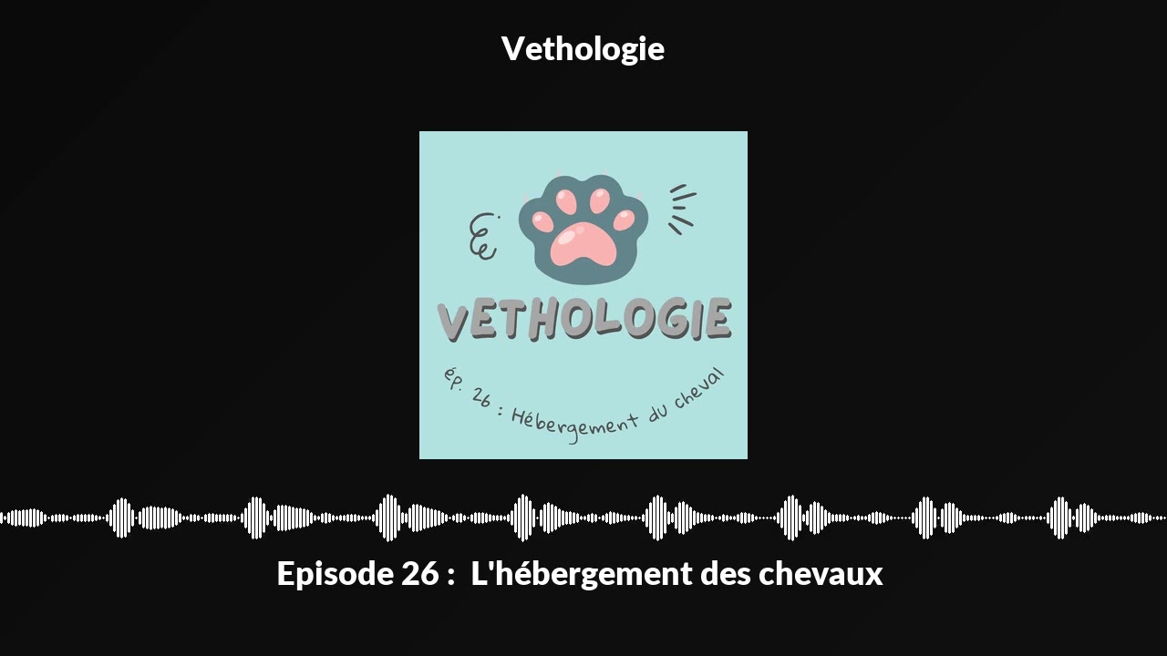 Episode 26 : L'hébergement des chevaux
