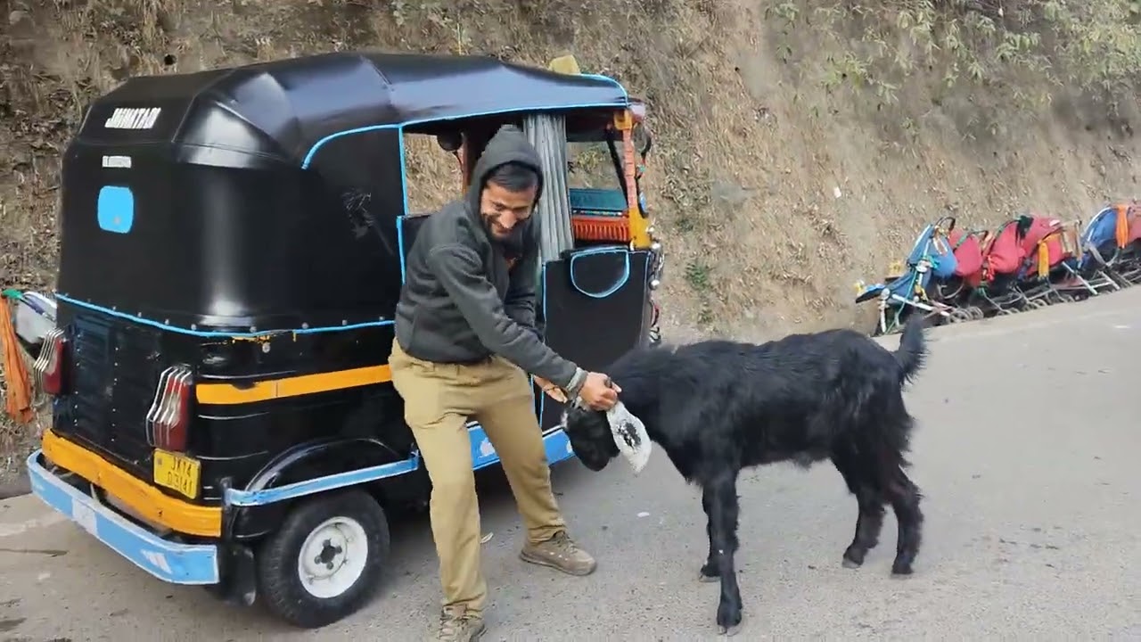 Viral bakra bahut maarta hai