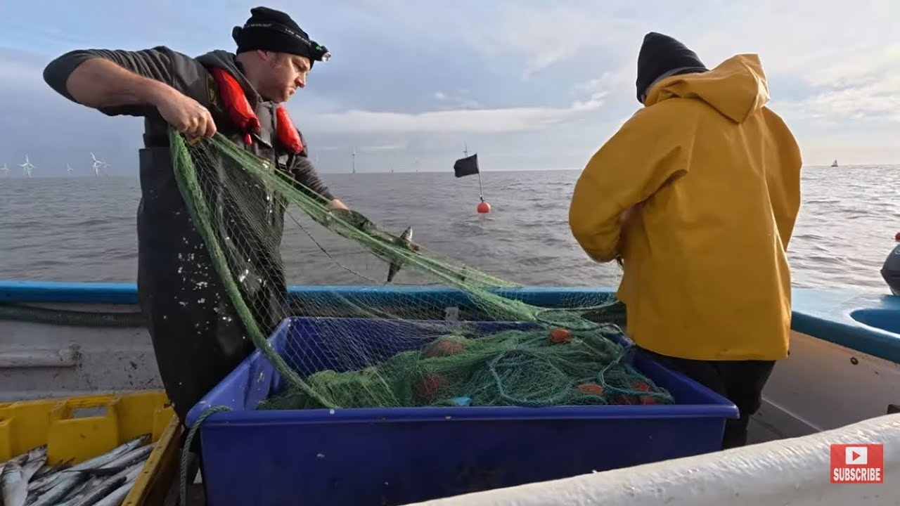 The last fleet saved the day! Herring drift netting. Launching in Dads boat! Beach boat sea fishing.