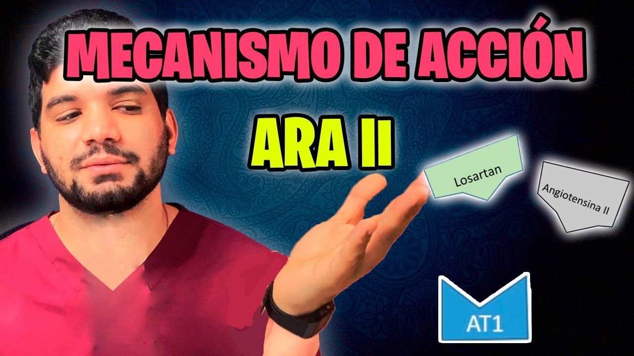 Mecanismo de accion ARA 2 | Losartan Que es y como Funciona