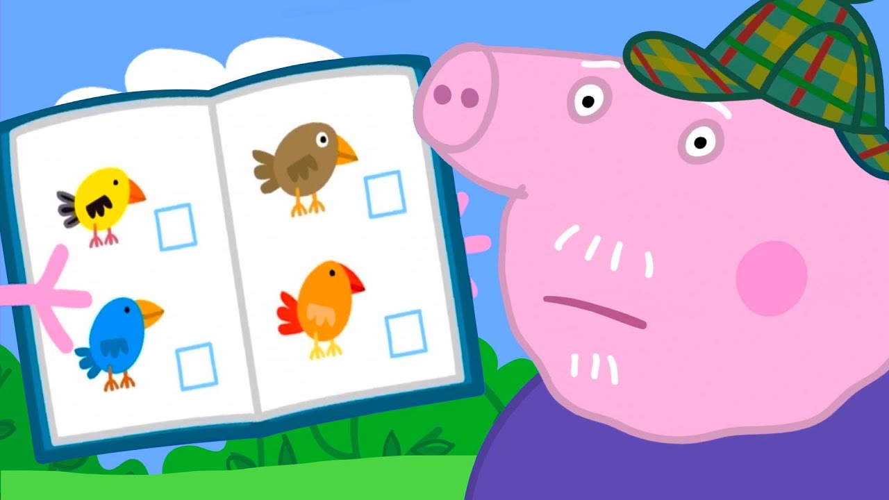 Peppa Pig Learns Bird Spotting | Kids TV And Stories