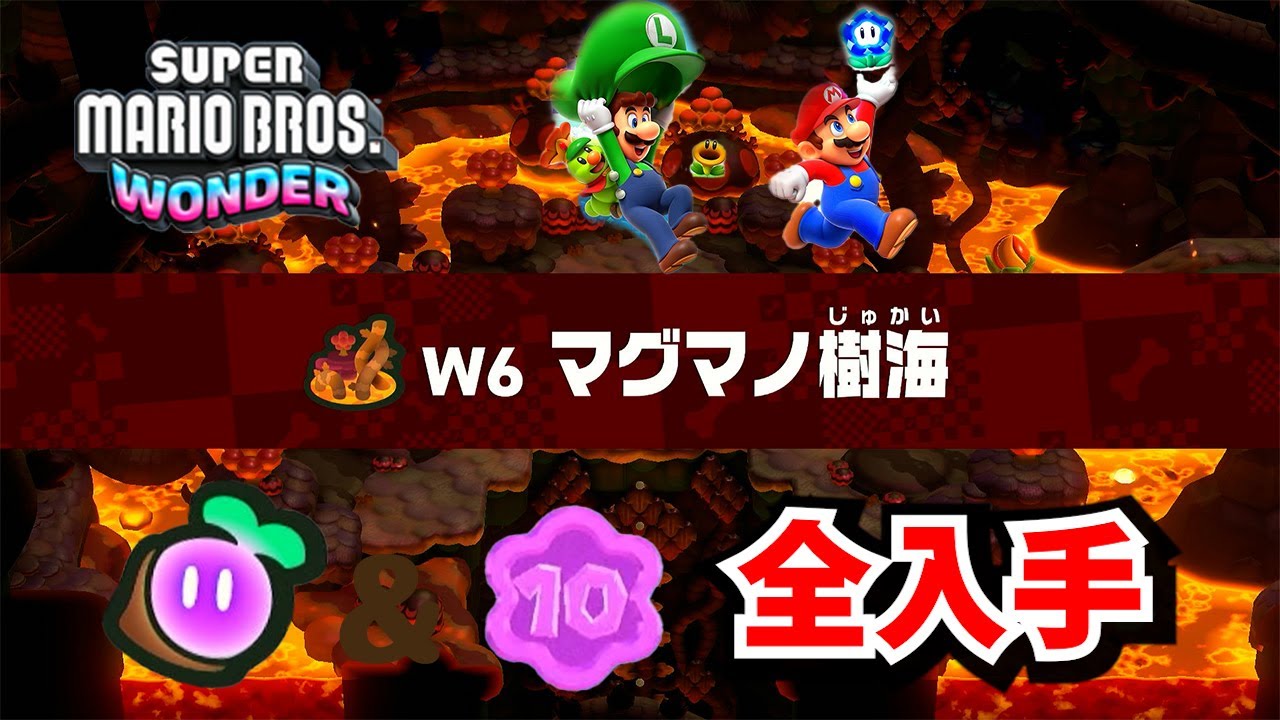 【スーパーマリオブラザーズ・ワンダー】W6 マグマノ樹海　ワンダーシード全30個 & 10フラワーコイン　全入手場所