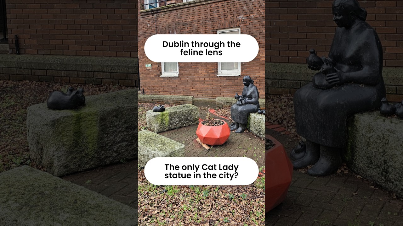 Dublin through the feline lens - lion guards, cat lady statue and more. January 2026