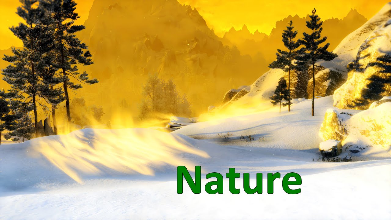 Nature Skyrim SE - Serene Forest & Snow Landscapes