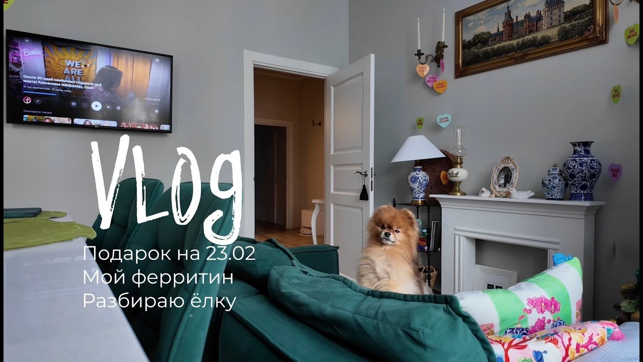 VLOG #20 | Сдала ферритин | Идея подарка | Разбираю елку