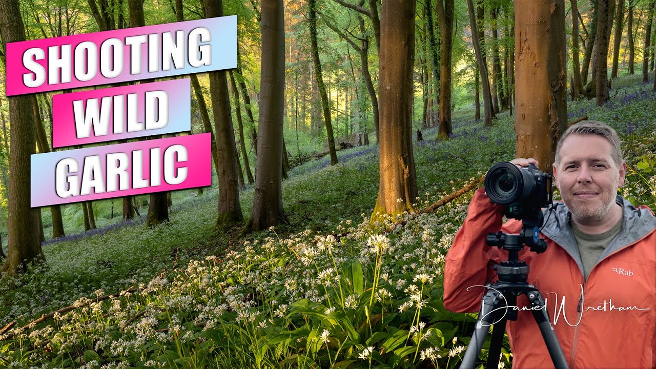 Wild Garlic Forest | Landscape Photography | Dorset | Photographing Wild Garlic