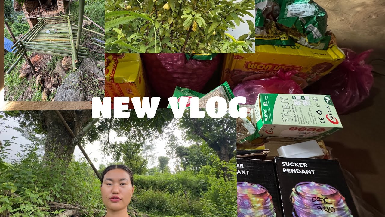 || NEW VLOG || || DASHAIN SHOPPING 🛍️ ❤️ SANGAI NEW SUNGUR 🐷KO KHOR FINALLY COMPLETE 🐷||