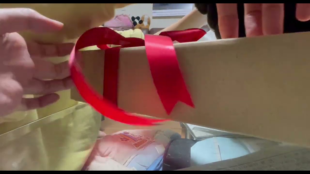 クリスマスプレゼント紹介してみた！