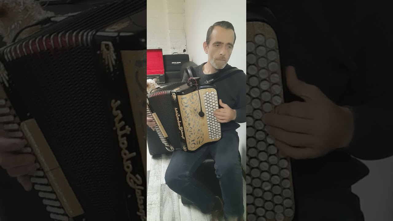 #coveraccordeon                       jardin d'hiver                                mister Salvador