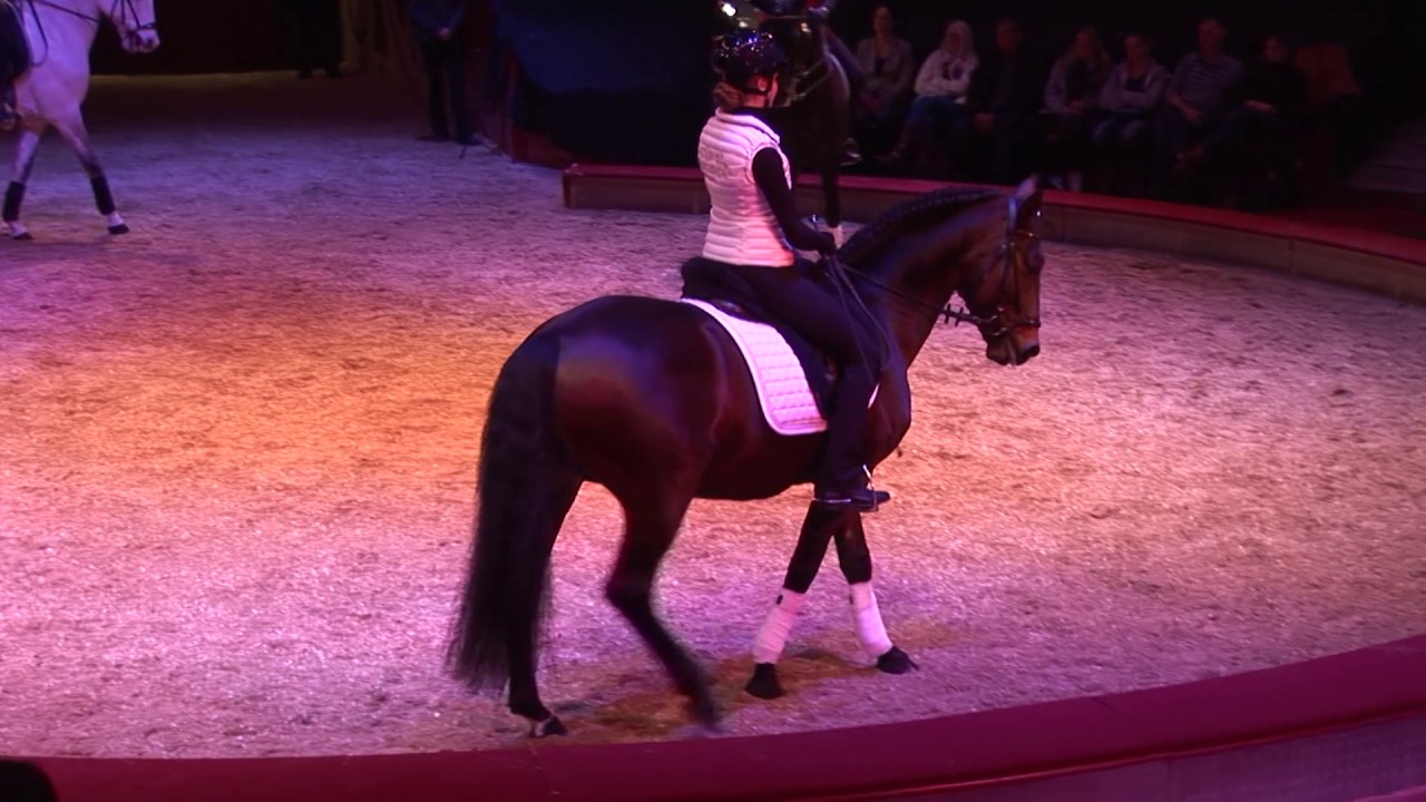 Fachtagung mit Anja Beran und Jana Mandana - Klassische Dressur 2016