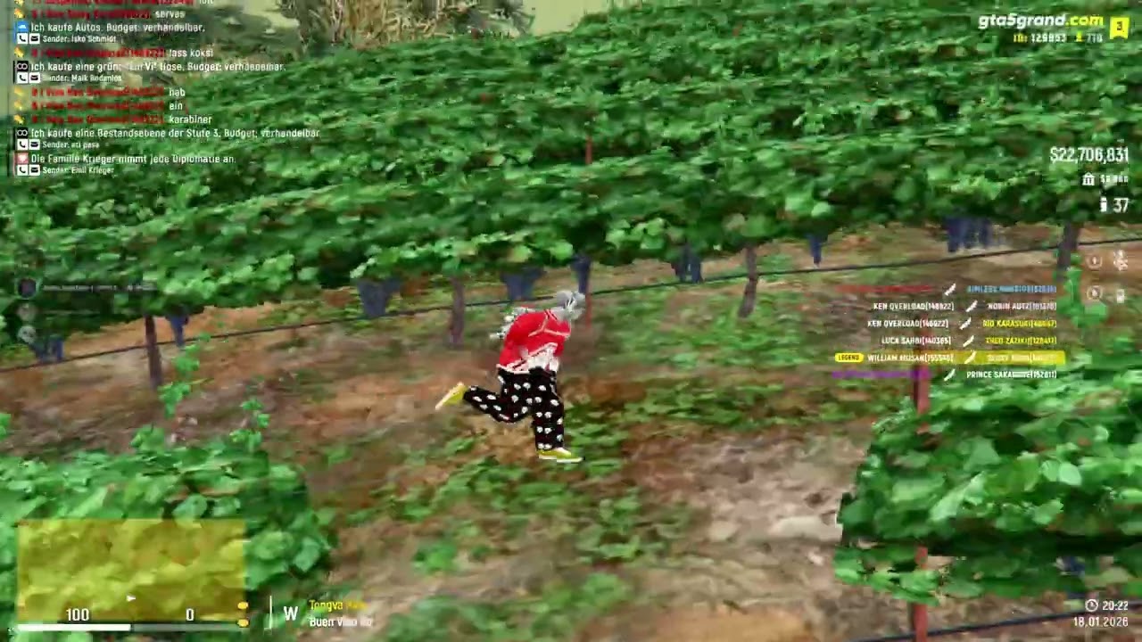 Hellsing back aufm Server