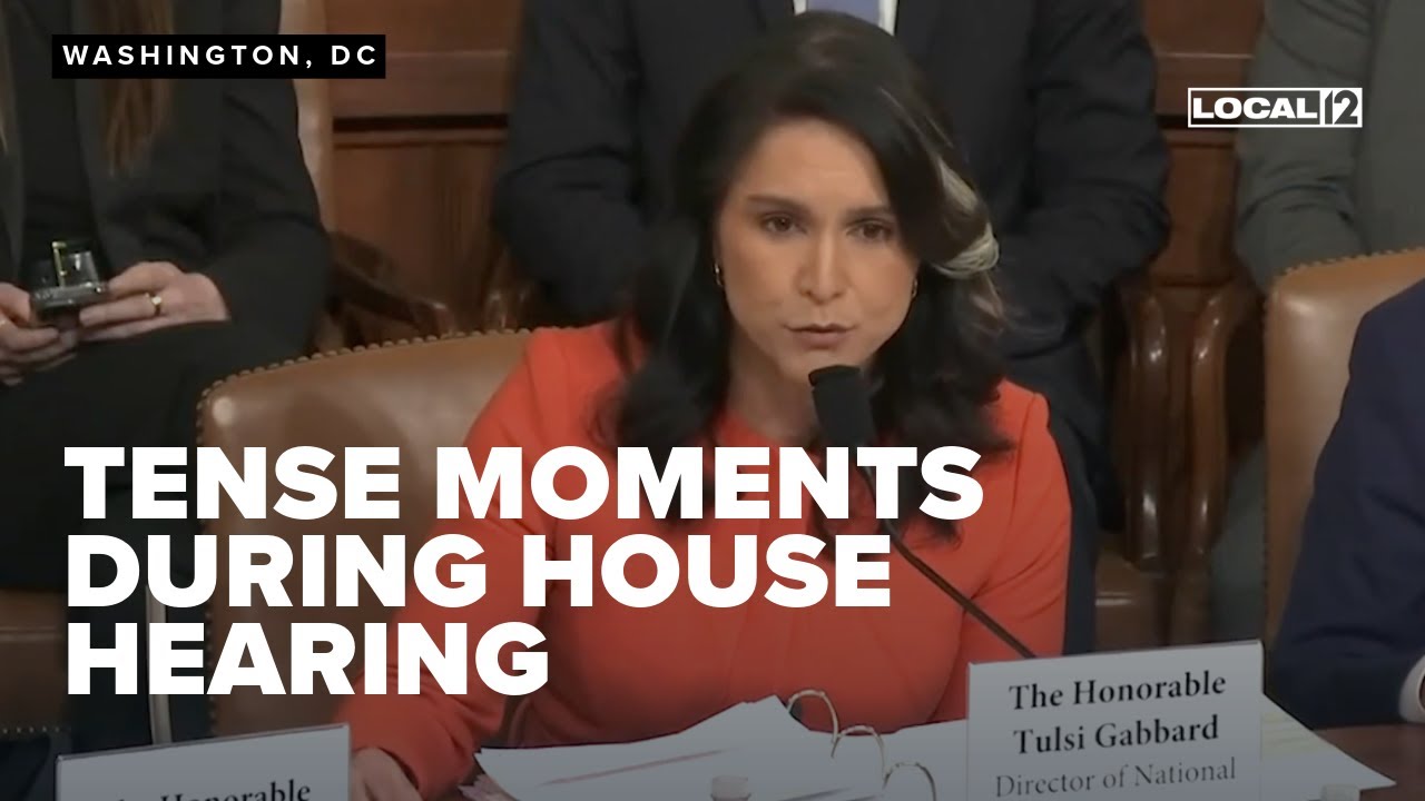 Tense moments during House hearing as Signal group chat scandal intensifies