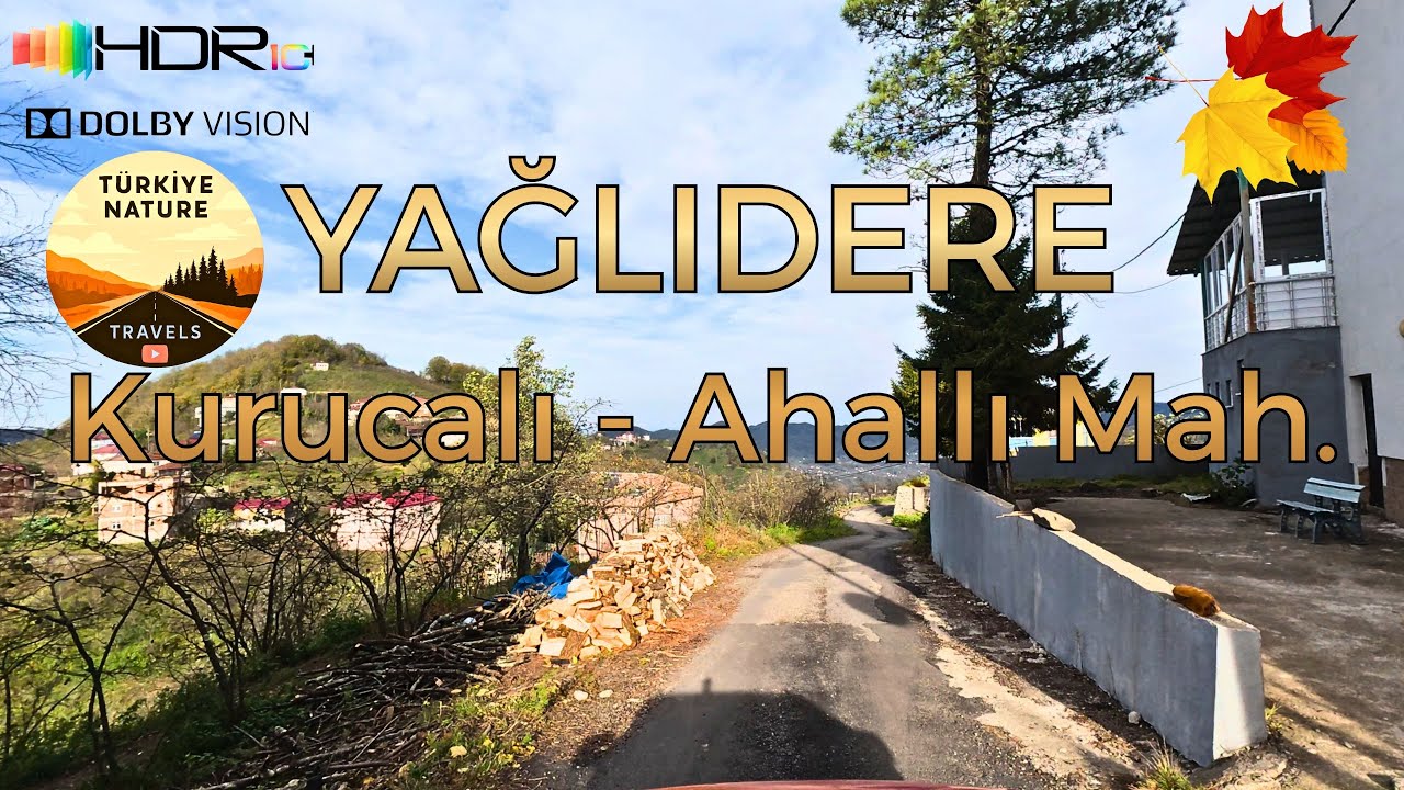 🇹🇷 Giresun-Yağlıdere & Kurucalı and Ahallı Neighborhoods. A windy and sunny Autumn day. 4K HDR