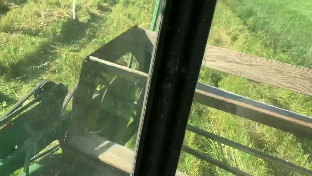 Combining weedy oats (before the auger failure)