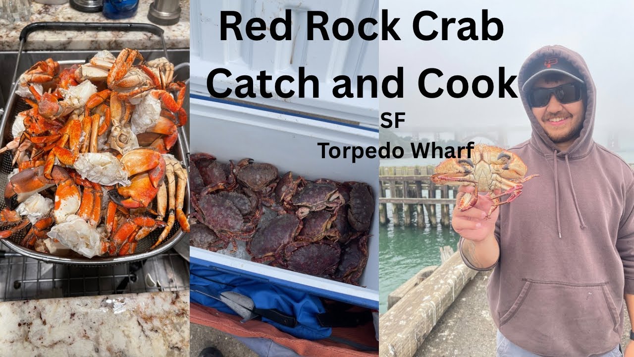 Red Rock Crab Catch And Cook | Torpedo Wharf San Francisco