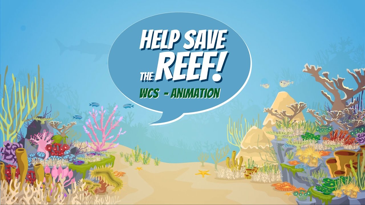 Help Save the Reef! Crowdsourced Reef Watch | WCS
