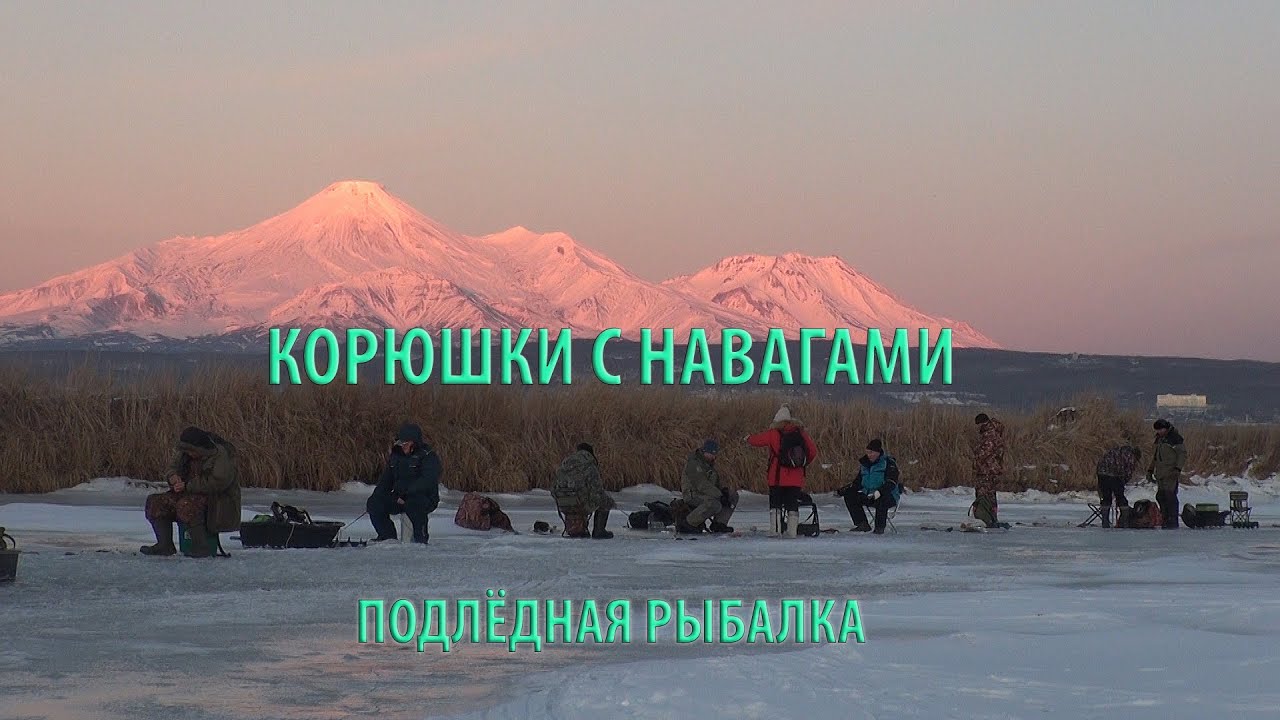 КОРЮШКИ С НАВАГАМИ  ПОДЛЁДНАЯ РЫБАЛКА