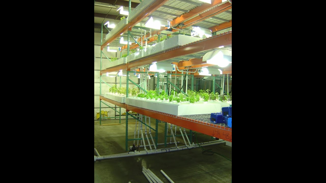 The Grow Boss Explains the Benefits of a Light Mover