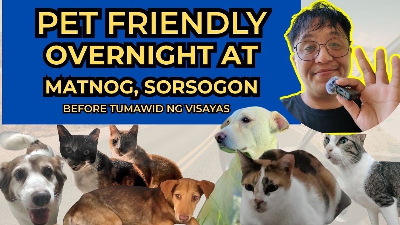 Affordable and Pet Friendly AirBnB near Matnog Port in Sorsogon | Luzon to Mindanao Road Trip