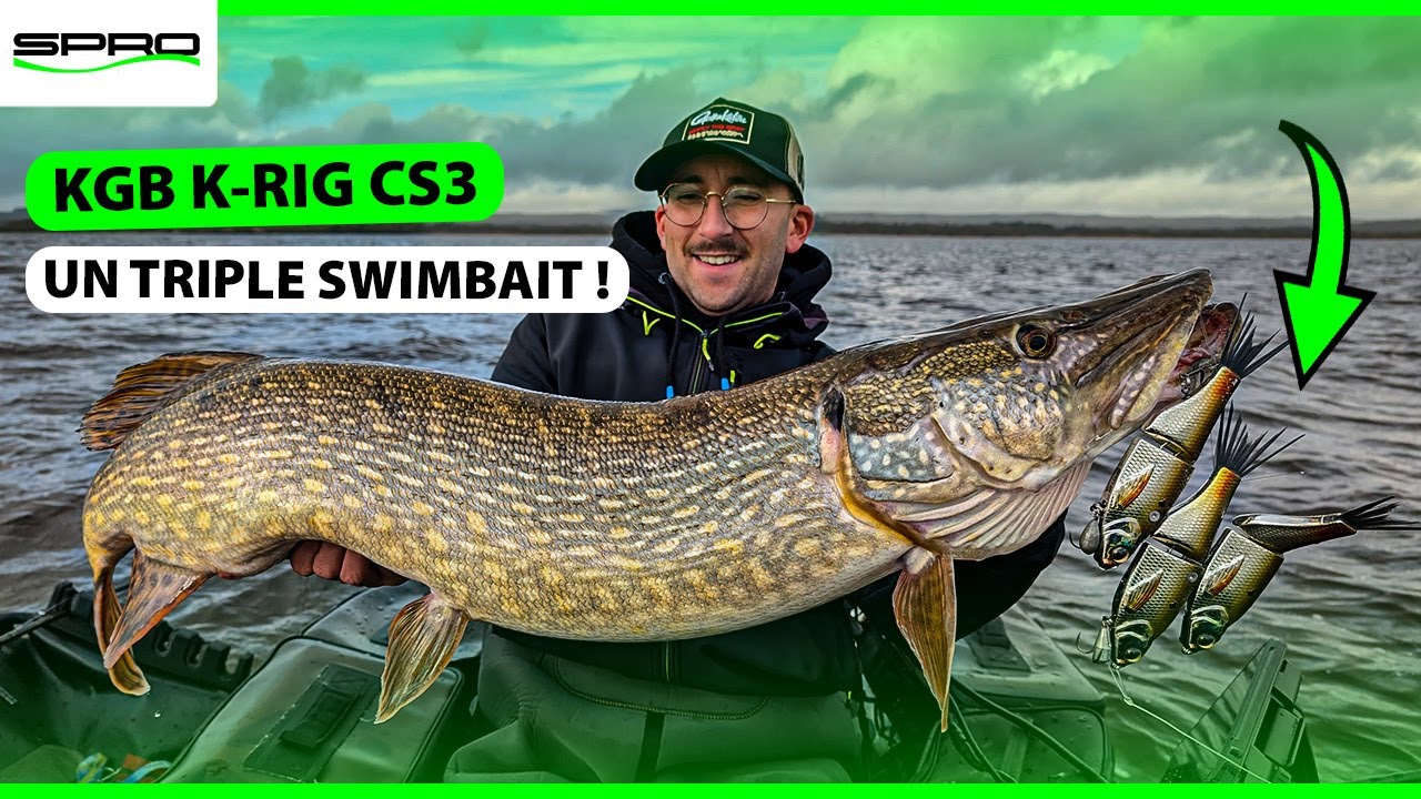 👉  KGB K-RIG CS3 : X3 GLIDES X3 IMPACT