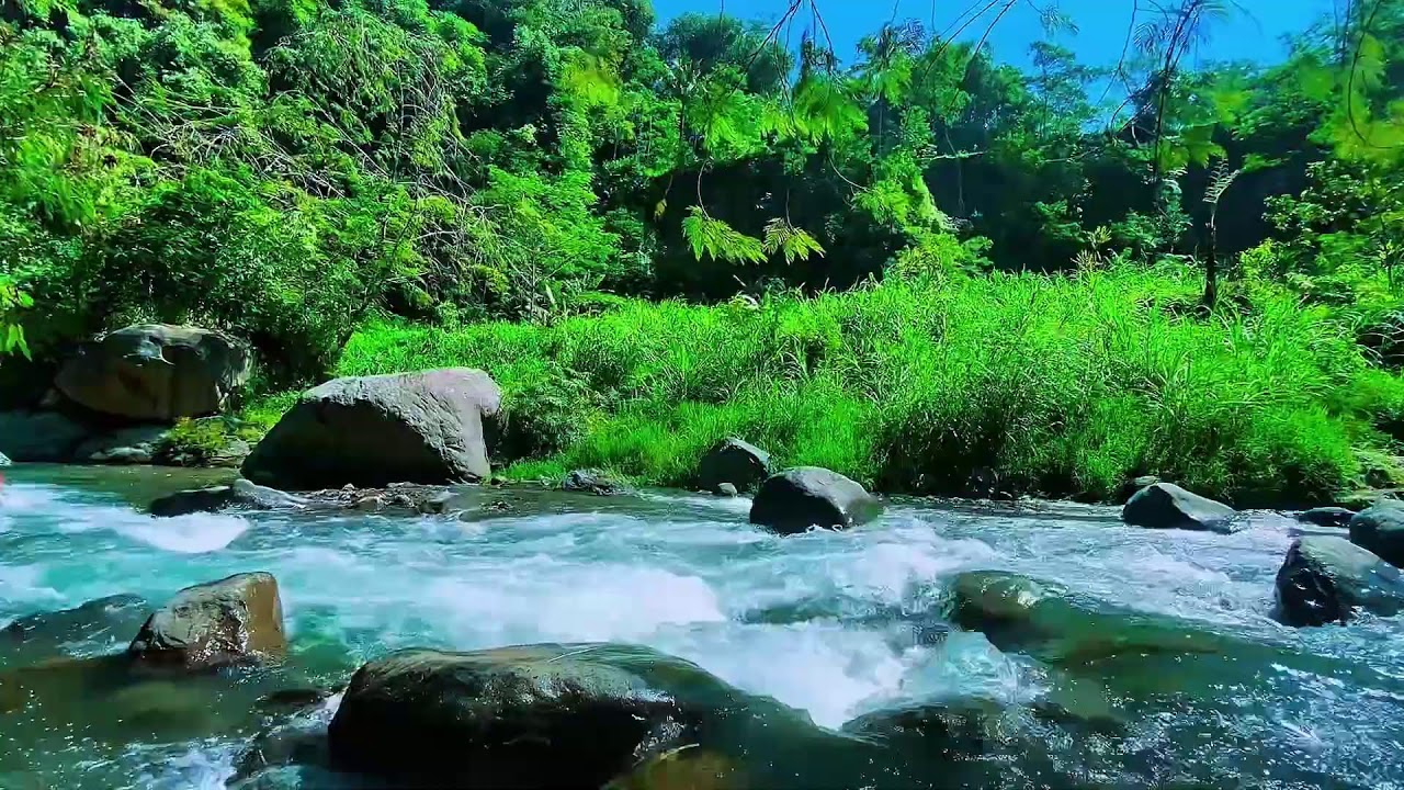 Flowing Stream Water, Mountain River Sounds, Forest Sleep Noise