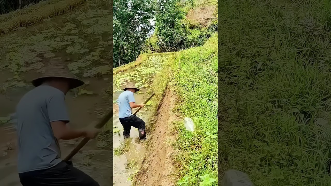 Farmer’s Weeding Master Skill! One Move Clears Stubborn Weeds, Power & Technique Combined