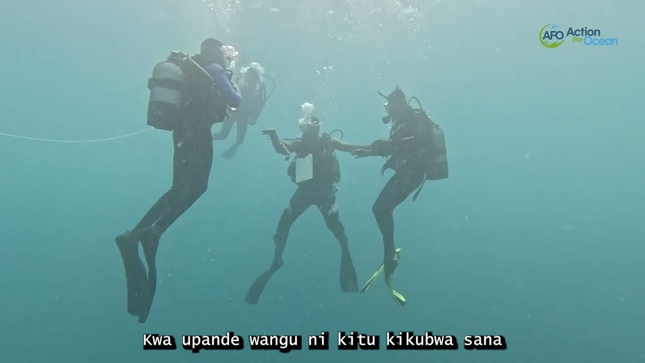 A New Wave of Ocean Scientists Begins With Access: Baraka’s Story, a university intern at AFO