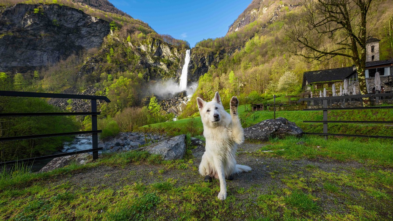 Beautiful South of Switzerland - Tessin Ticino Bavona Verzasca Maggia
