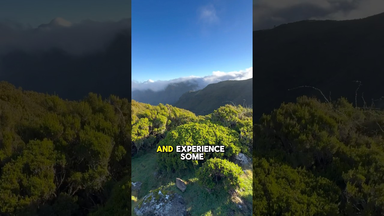 How to spend 5 days in Madeira | Madeira 5 day itinerary #madeira #portugal #adventure #travel