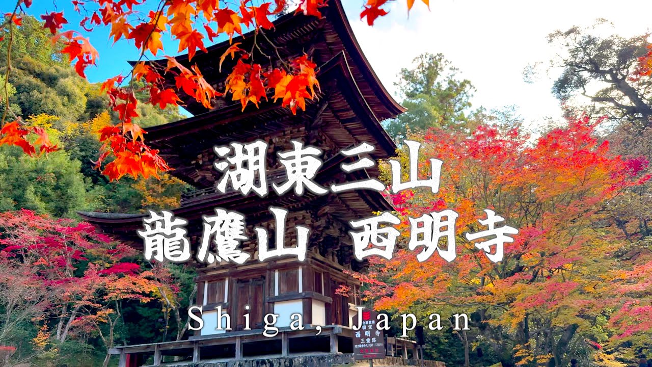 【湖東三山】龍鷹山　西明寺　一生に一度は見たい景色