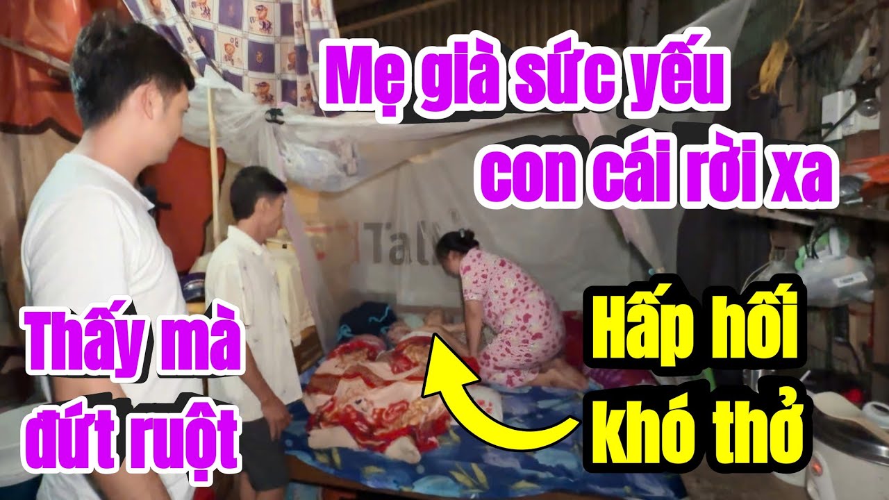 Thật buồn khi người mẹ già này đã từng cả đàn con nhưng đàn con không thể nuôi mẹ già