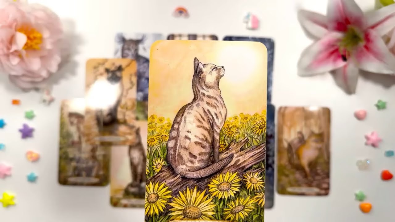 CAPRICORNIO💖EN SHOCK! ALGUIEN QUIERE VERTE Y CONFESARTE ESTO! HOROSCOPO #CAPRICORNIO HOY TAROT AMOR